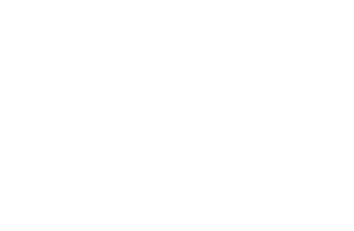 WSI